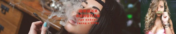 PSILOCYBIN Дмитров