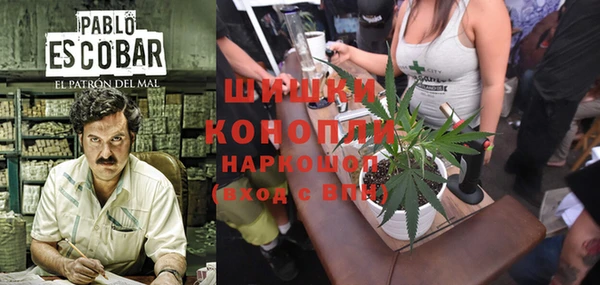 PSILOCYBIN Дмитров
