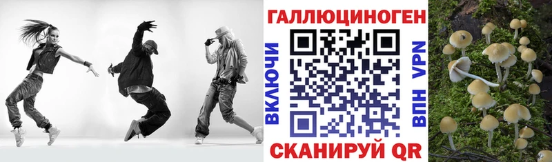 Купить закладки  Навашино  Псилоцибиновые грибы Psilocybe 
