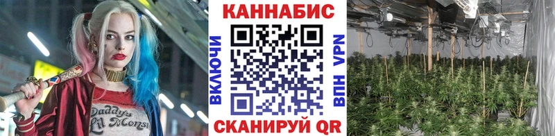 МАРИХУАНА ГИДРОПОН  Купить  Навашино 